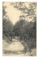 Cp, 91, Crosnes, Chemin Du Vieux Château, Voyagée 1909 - Crosnes (Crosne)