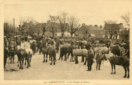 LANDIVISIAU(FINISTERE) FOIRE AUX CHEVAUX - Landivisiau