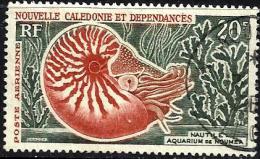 NEW CALEDONIA 20 FRANCS AQUARIUM FISH MALTILE MARINE LIFE SET OF 1 UHD 1964 SG359 POSTMARK RIGHT READ DESCRIPTION !! - Used Stamps