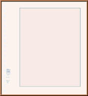 Lindner 802c Lindner Blank Pages, Format: 272 X 296 Mm With 18-ring Perforation - Andere & Zonder Classificatie