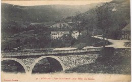 Delcampe - Cpa BUSSANG Pont Du Sechenat Grand Hotel Des Sources - Bussang