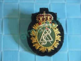 Insigne Militaire ( Military Dental Embroidered Badge, Insigne En Tissus Et Fil D´or  ) 3 Scans - Geneeskundige Diensten