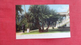 Florida> Palm Beach    Rotograph   Screw Pine Hotel Royal Poinciana   1861 - Palm Beach