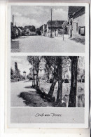 0-7127 TAUCHA - PÖNITZ, Gruss Aus.,.Landpoststempel "Pönitz, Kr. Leipzig" - Taucha