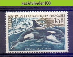 Nbu104 FAUNA WALVIS ORKA KILLERWHALE SEA MAMMAL MARINE LIFE TAAF TERRES AUSTRALES ET ANTARCTIQUES FRANCAISES 1969 ONG/MH - Baleines