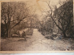 Bertrix, Maison De Retraite Des Filles De La Vierge, Jardin. Années 50. - Bertrix