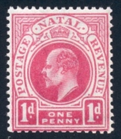 Natal 1902. 1d Carmine (wmk.CA). SACC 110*, SG 128*. - Natal (1857-1909)