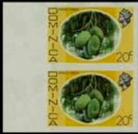 DOMINICA 1975 Mango Longue Fruit 20c IMPERF.MARG.PAIR     [non Dentelé,Geschnitten,no Dentado - Dominica (...-1978)