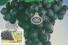 South Africa 1988 Export Fruits,Grapes, Maximum Card - Lettres & Documents