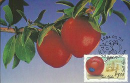 South Africa 1988 Export Fruits,Plums, Maximum Card - Brieven En Documenten