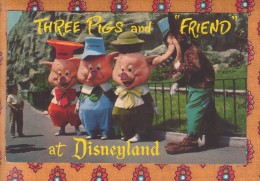 1 Cpa Three Pigs And Friend Disneyland - Disneyland