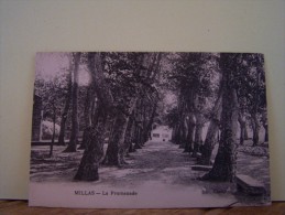 MILLAS (PYRENEES ORIENTALES) LA PROMENADE - Millas