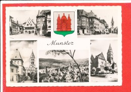 68 MUNSTER Cpsm Multivues         Edit Marasco - Munster