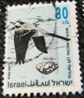 Israel 1992 Birds White Wagtail 30 - Used - Usados (sin Tab)