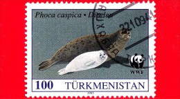 Turkmenistan - Nuovo Oblit. - 1993 - Foca Del Mar Caspio - The Caspian Seal - Mother And Young - 100 - Turkménistan