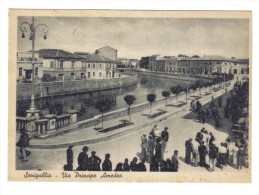 Senigallia Via Principe Amedeo Non Viaggiata   COD.C.1890 - Senigallia