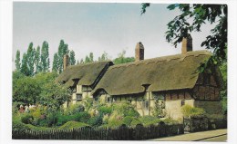 ANNE HATHAWAY' S COTTAGE - SHOTTERY - STRATFORD - UPON - AVON - FORMAT CPA - Andere & Zonder Classificatie