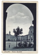 Senigallia Piazza Garibaldi Non Viaggiata   COD.C.1891 - Senigallia