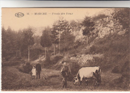 Marche, Fonds Des Vaux (pk19872) - Marche-en-Famenne