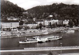 Bad Schandau - S/w Panorama 8 - Bad Schandau