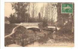 CHANAS - ISERE - PONT SUR LA PETITE RIVIERE - Chanas