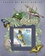 Sierra Leone. 2015 Cuckoos. (006b) - Kuckucke & Turakos