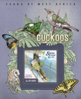 Sierra Leone. 2015 Cuckoos. (006b) - Cuckoos & Turacos