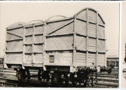 CP Du Museon Di Rodo - N° 621 - Nord Wagon à Ridelles 10 Tonnes - Matériel