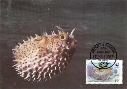 ANTIGUA & BARBUDA - WWF Maximumkarte >Der Gezäumte Igelfisch< Karte Mit Igelfisch + Zugehörige Marke - Lettres & Documents