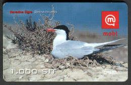 Slovenia - Prepaid Card - Birds - Sterna Hirundo - Used - 2005 - Songbirds & Tree Dwellers