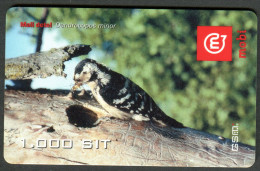 Slovenia - Prepaid Card - Bird - Woodpecker - Used - 2002 - Sperlingsvögel & Singvögel