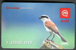 Slovenia - Prepaid Card - Bird - Red-backed Shrike - Used - 2005 - Songbirds & Tree Dwellers