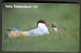 Phonecard - Birds - Used - Zangvogels