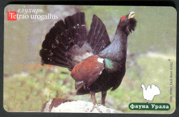 Russia - Phonecard - Birds - Wood-grouse - Tetrao - Used - Hoenderachtigen & Fazanten