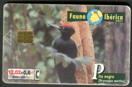 Spain - Phonecard - Birds - Dryocopus Martius - Used - Sperlingsvögel & Singvögel