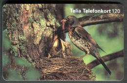 Phonecard - Birds - Used - Songbirds & Tree Dwellers