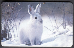 Germany - Phonecard - Animals - Rabbits - Used - Conigli