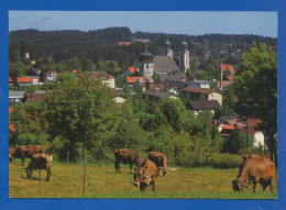 Deutschland; Lindenberg Im Allgäu; Panorama - Lindenberg I. Allg.