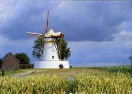 OSTICHES - Ath (Hainaut) - Le Blanc Moulin Avec Nuages Orageux Et Champ De Blé / De Witte Molen, Onweerslucht, Graanveld - Ath