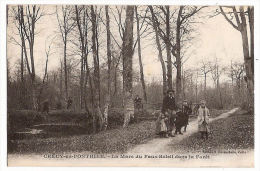 CPA Crecy En Ponthieu 80 Somme La Mare Du Faux Soleil Dans La Forêt - Crecy En Ponthieu