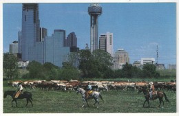 During The GOP Convention In Dallas, August 20-23, 1984 - Dallas