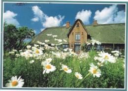 Allemagne. Husum. Petite Maison Dans Une Prairie. - Husum