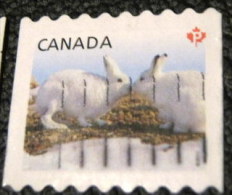 Canada 2011 Snow Hare Lepus Arcticus P - Used - Usati