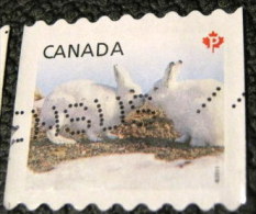 Canada 2011 Snow Hare Lepus Arcticus P - Used - Usados
