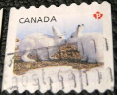 Canada 2011 Snow Hare Lepus Arcticus P - Used - Gebruikt