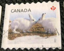 Canada 2011 Snow Hare Lepus Arcticus P - Used - Usati