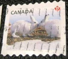 Canada 2011 Snow Hare Lepus Arcticus P - Used - Oblitérés
