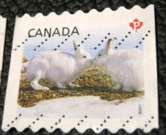 Canada 2011 Snow Hare Lepus Arcticus P - Used - Usati