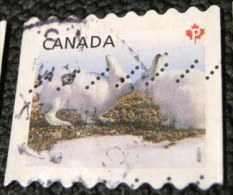 Canada 2011 Snow Hare Lepus Arcticus P - Used - Usados