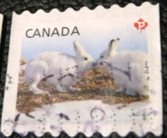 Canada 2011 Snow Hare Lepus Arcticus P - Used - Usati